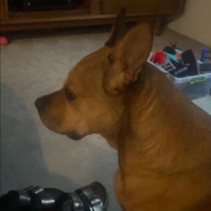 Meet your Posher, Amy